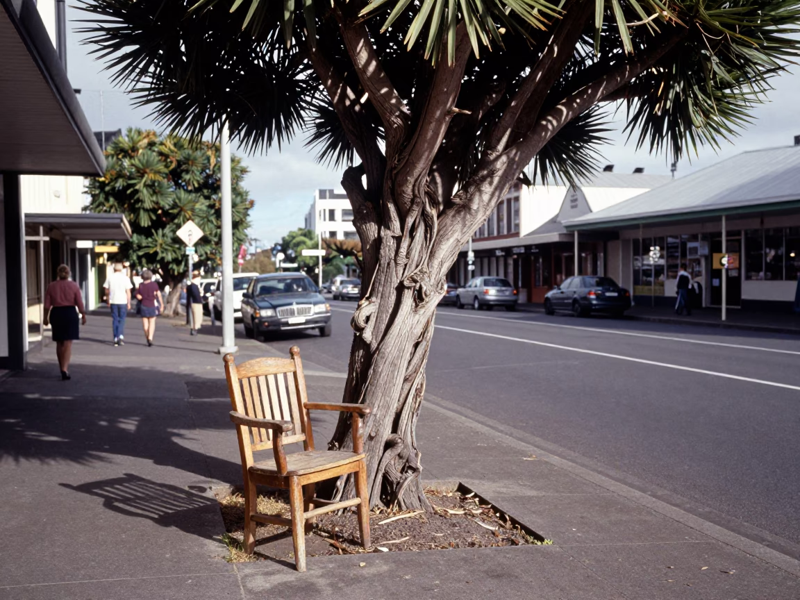Vintage 1960s Auckland Street Scene with Twisted Cedar Tree and Chair in in Auckland, New Zealand