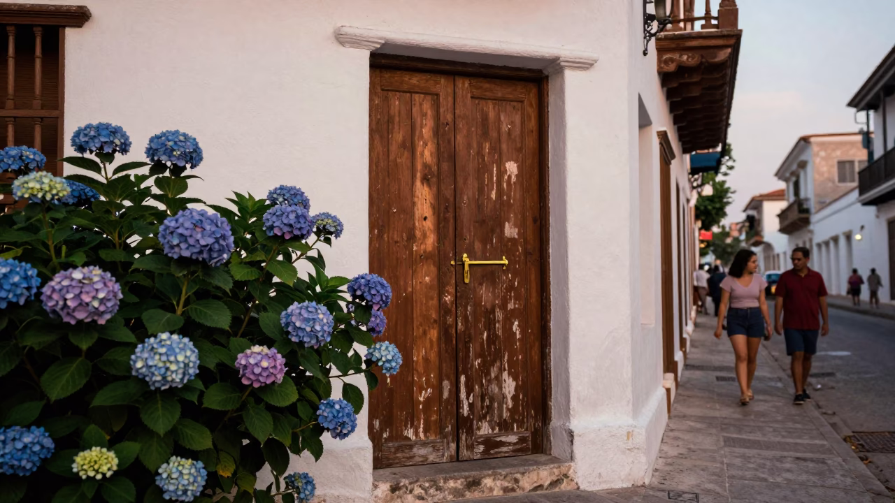Vintage 1960s Cartagena Colombia Street Scene with Hydrangeas and Latch Details in in Cartagena, Colombia