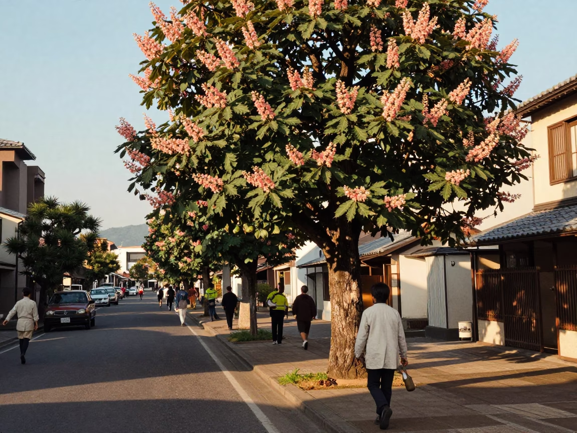 Vintage 1960s Fukuoka Street Scene with Chestnut Tree and Seismograph Display in in Fukuoka, Japan