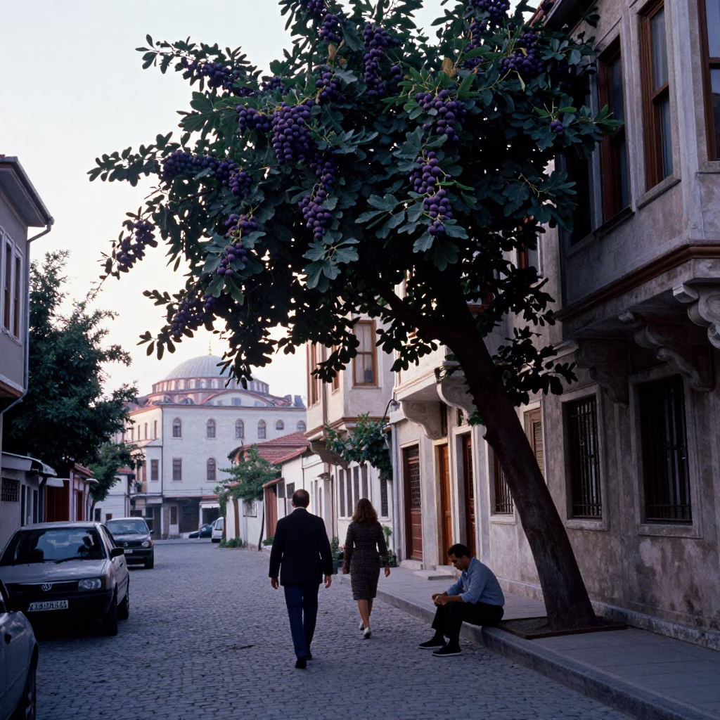 Vintage 1960s Istanbul Street Scene with Fig Tree and Ferry at Dawn in in Istanbul, Turkey