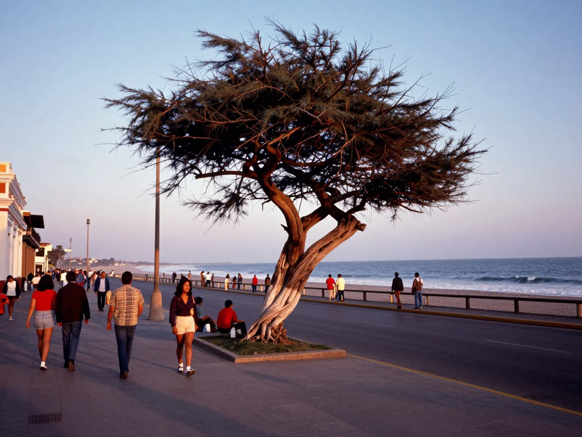 Vintage 1960s Lima Peru Evening Street Scene with Coastal Elements in in Lima, Peru