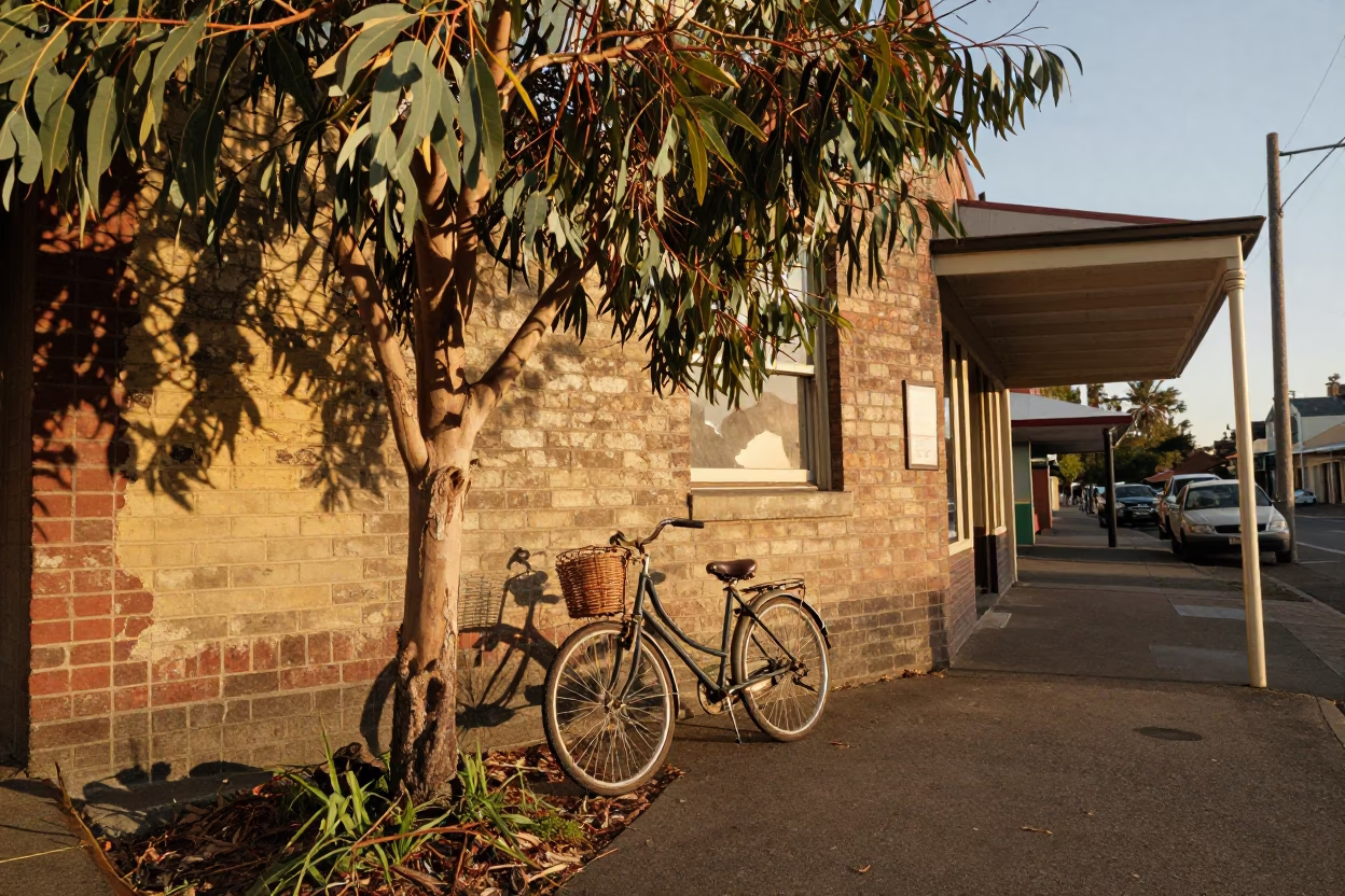 Vintage 1960s Melbourne Street Scene with Eucalyptus and Vintage Bicycle in Honeyed Evening Light in in Melbourne, Victoria, Australia