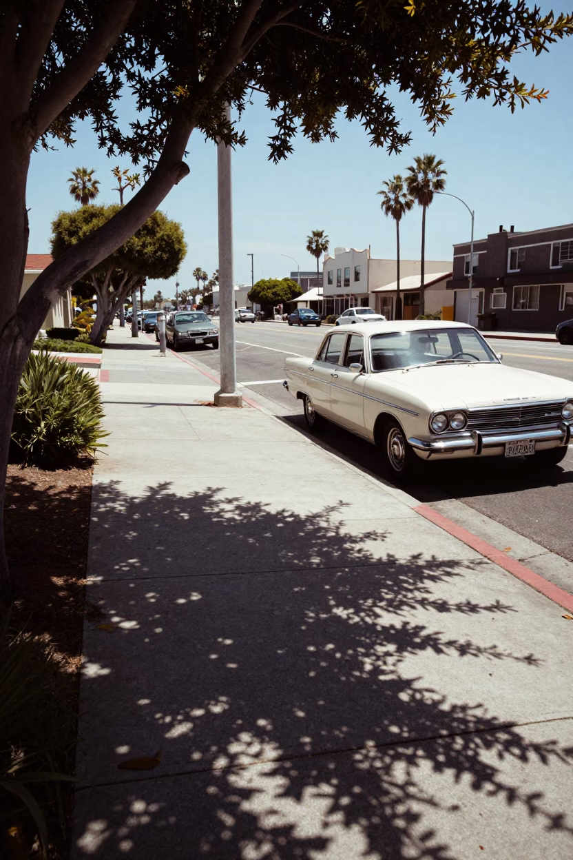 Vintage 1960s San Diego Street Scene with Leaf Shadows and Wicker Basket in in San Diego, California, United States