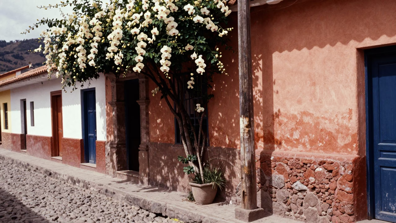 Vintage 1970s Cusco Street Scene with Vanilla Orchid Climbing Pole in Bright Midmorning Light in in Cusco, Peru