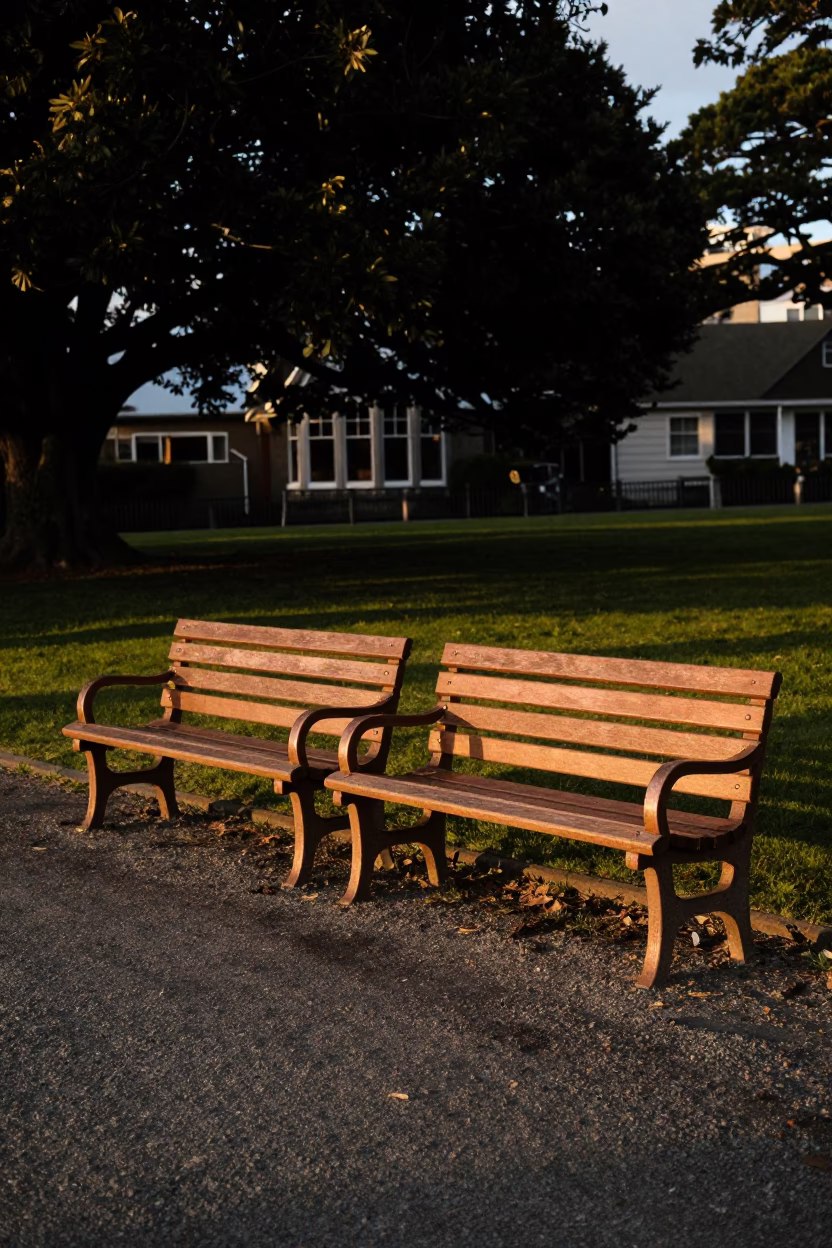 Vintage 1970s Wellington New Zealand Garden Benches Under Copper Dusk Light in in Wellington, New Zealand