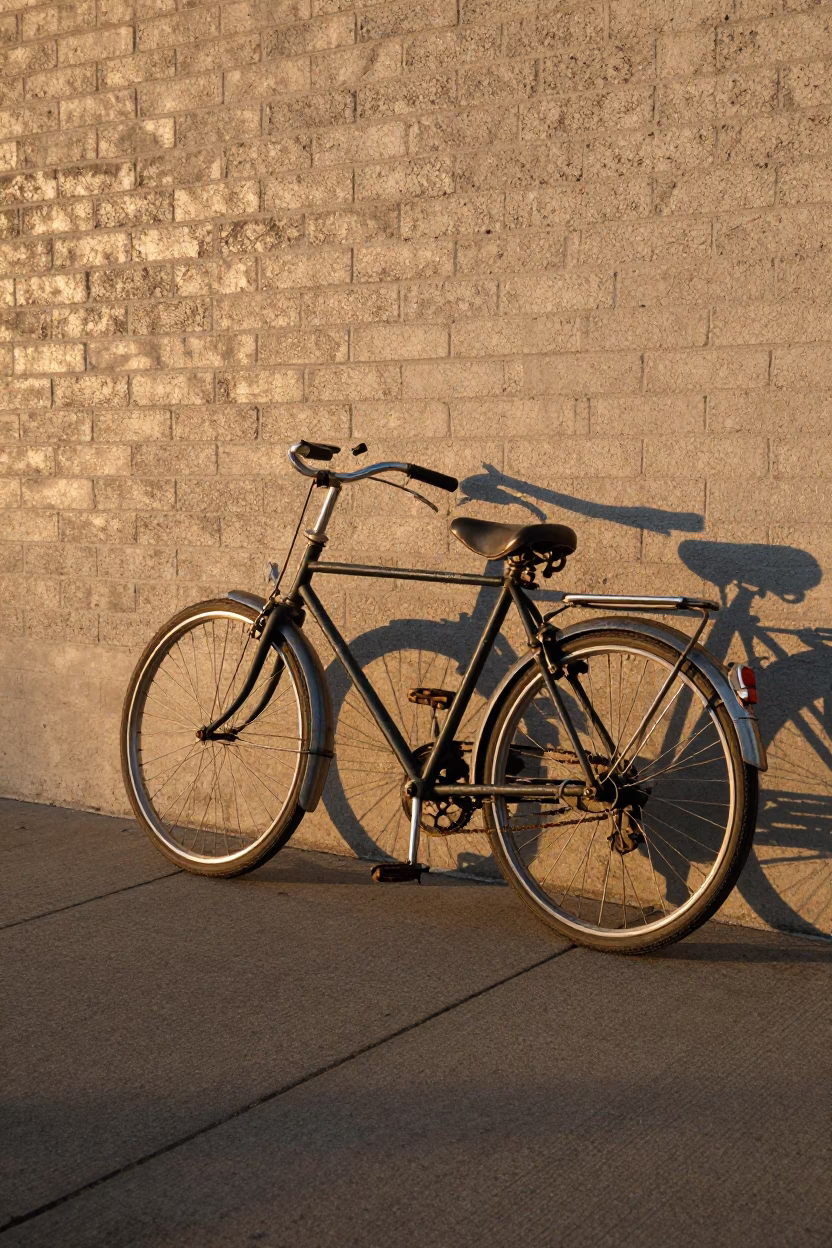 Vintage Bicycle at Golden Hour in Los Angeles in in Los Angeles, California, United States