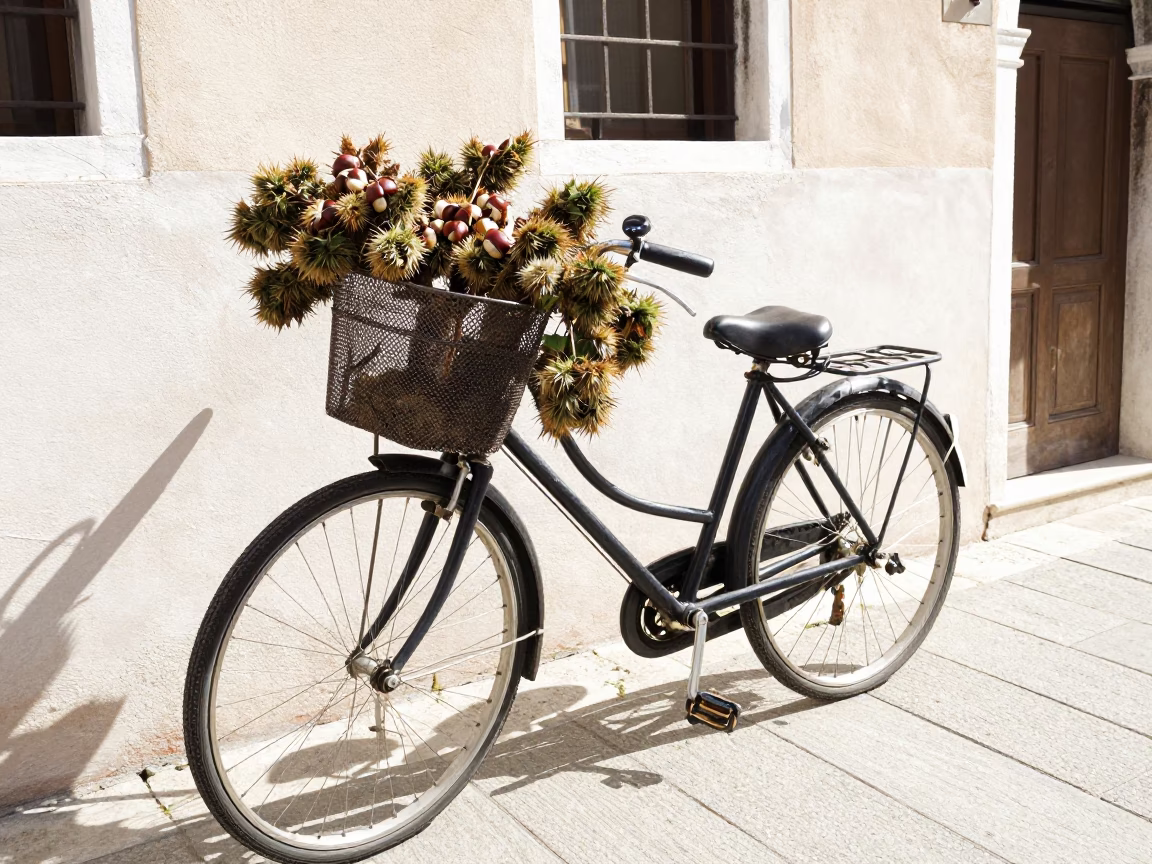 Vintage Bicycle Basket and Chestnut Husks in Bright Venice Morning Light in in Venice, Italy