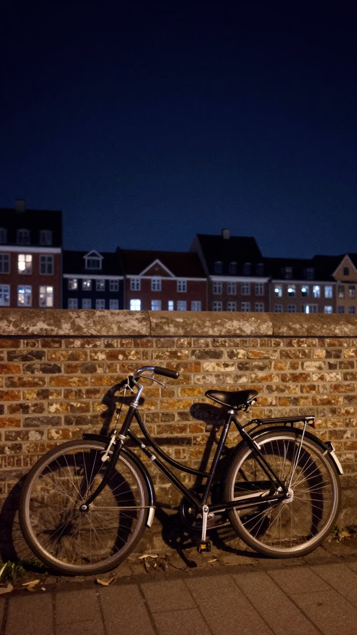 Vintage Bicycle in Copenhagen at The Deepest Night Sky Light in in Copenhagen, Denmark