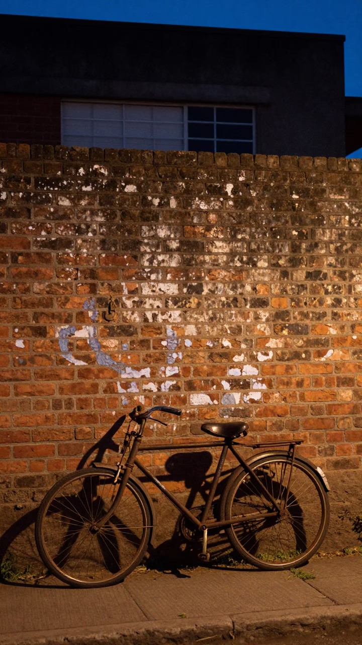 Vintage Bicycle Leaning Against Brick Wall in Johannesburg Township at Twilight in in Johannesburg, South Africa