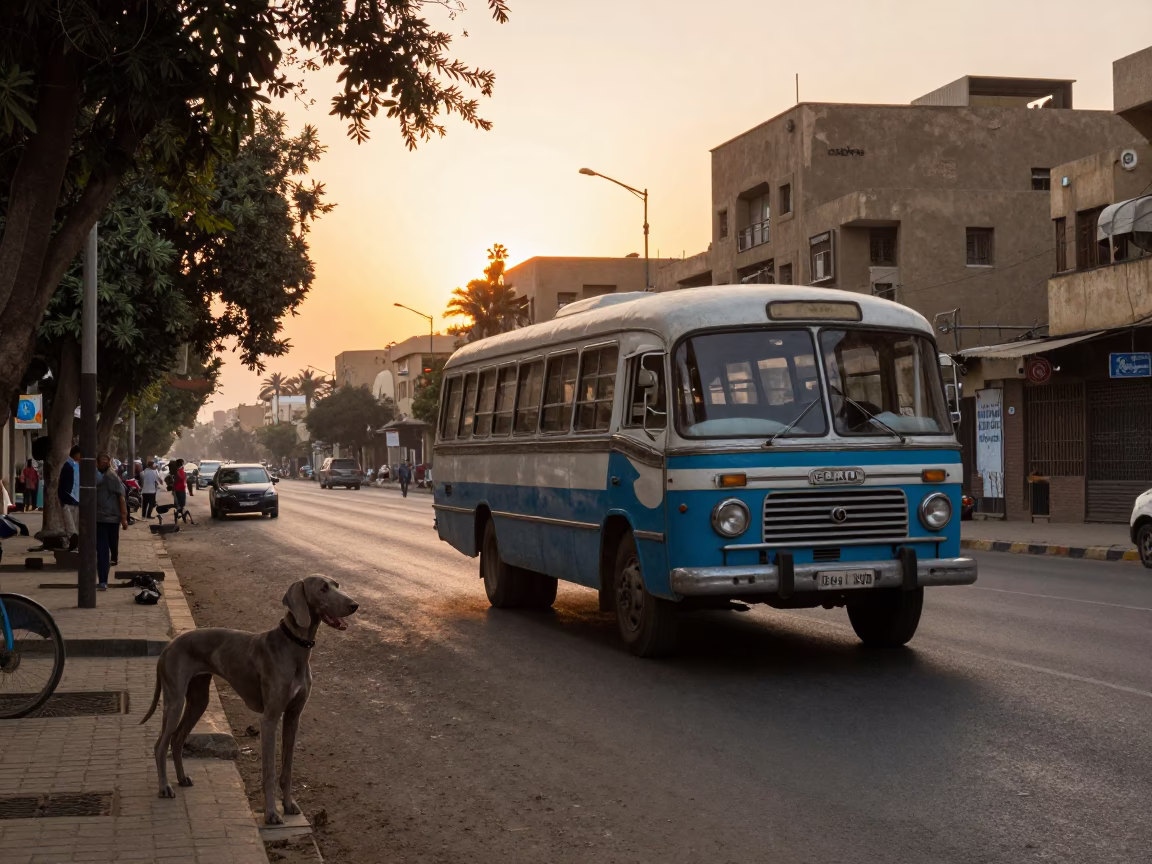 Vintage Cairo Street Scene with Classic Bus and Weimaraner at Sunset in in Cairo, Egypt