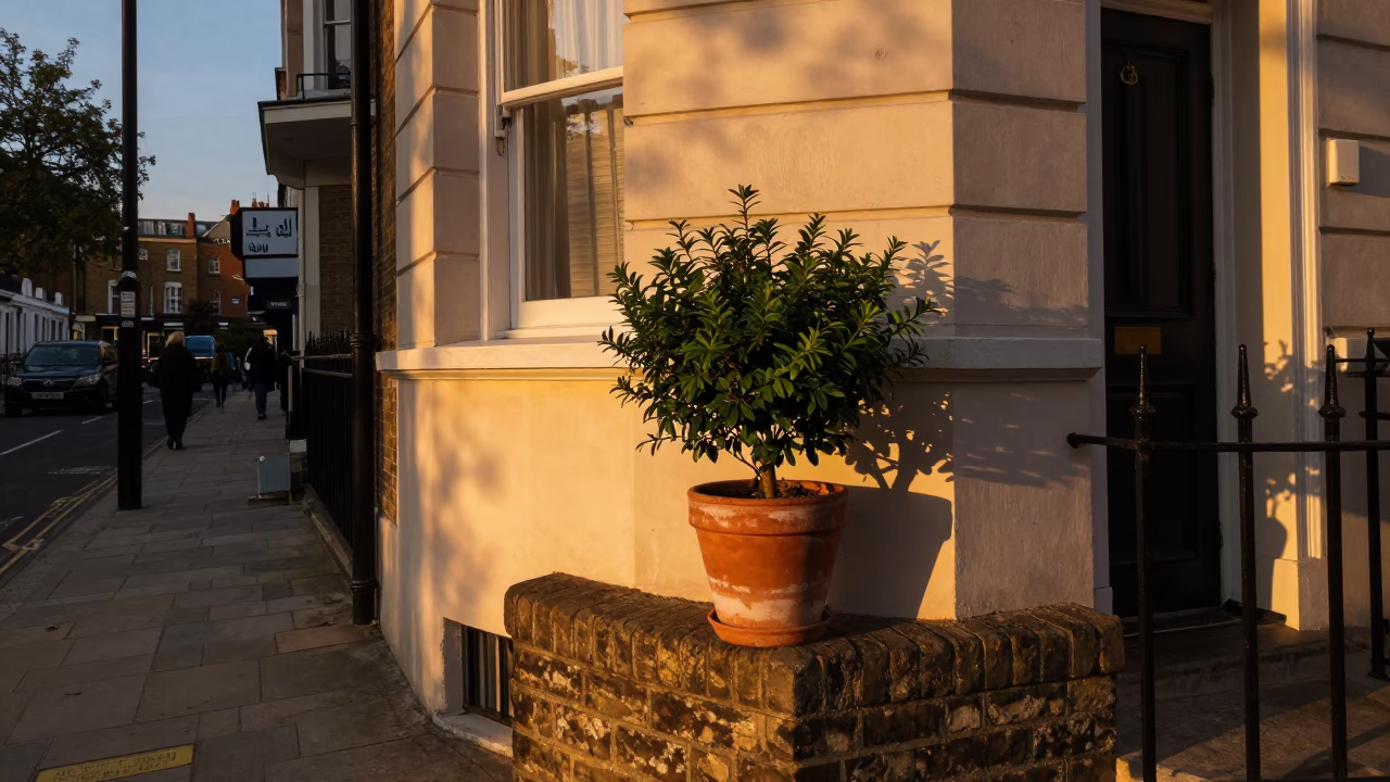 Vintage London Evening Street Scene with Potted Plant and Urban Architecture in in London, United Kingdom