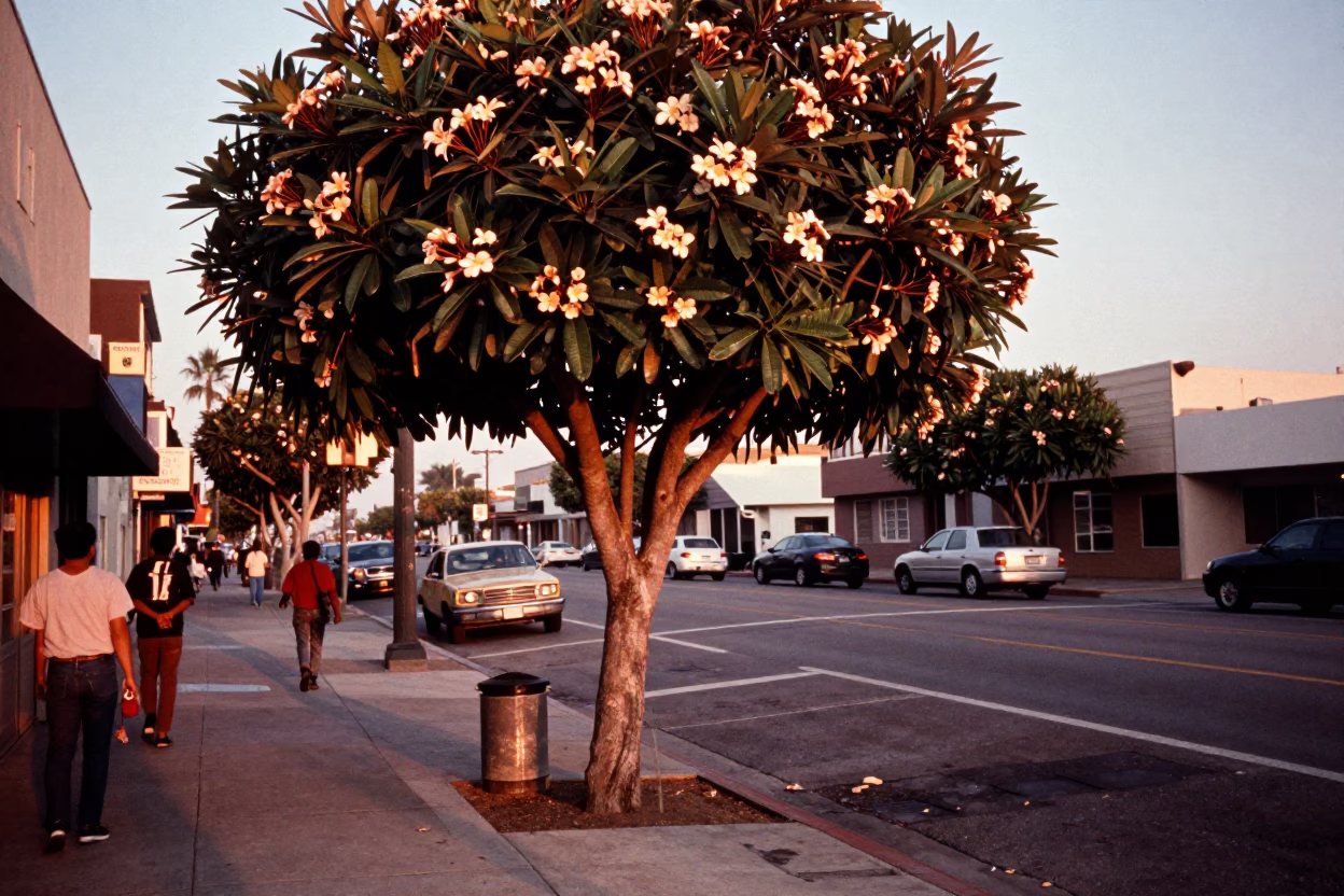 Vintage Los Angeles Street Scene with Plumeria Tree and Copper Dusk Light in in Los Angeles, California, United States
