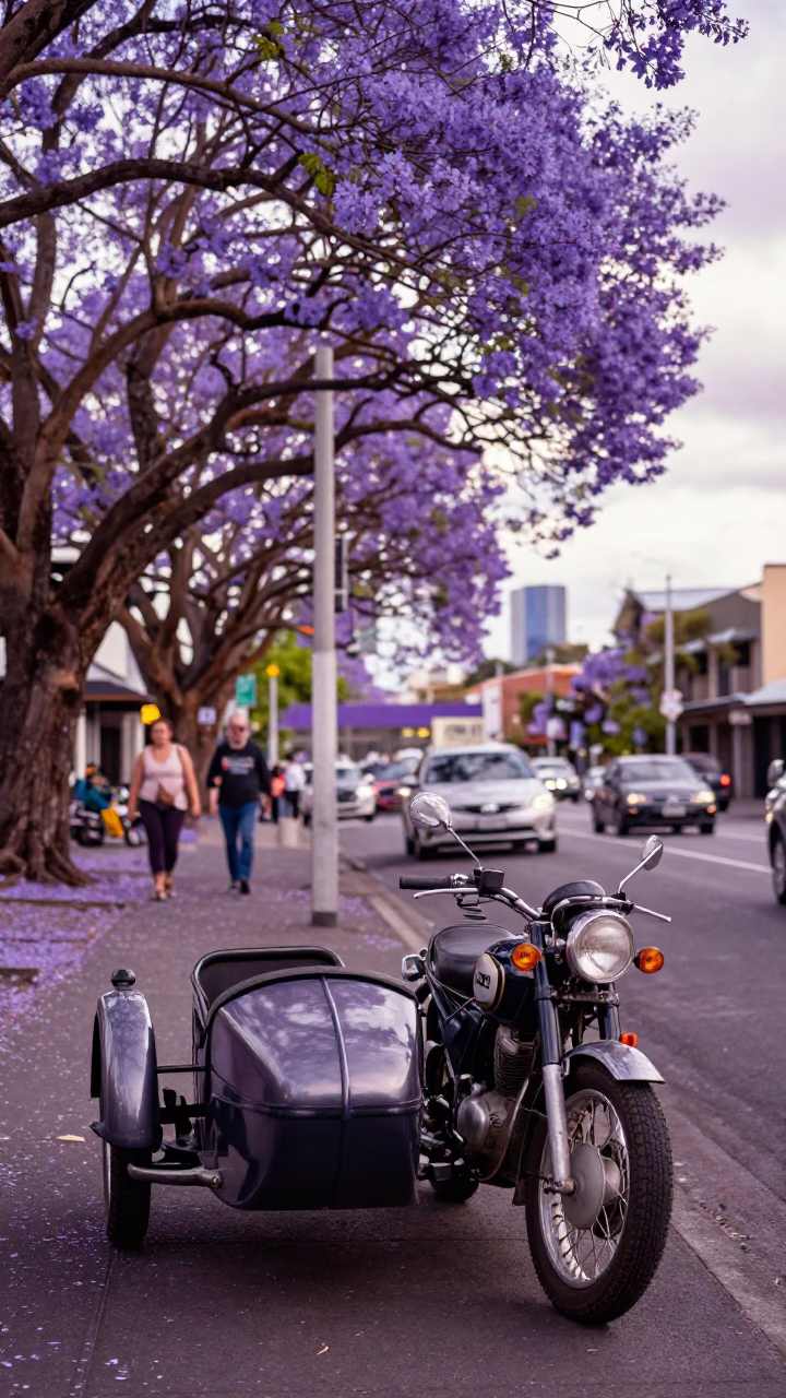 Vintage Motorcycle With Sidecar Parked Near Jacaranda Tree In Early Afternoon Auckland New Zealand in in Auckland, New Zealand