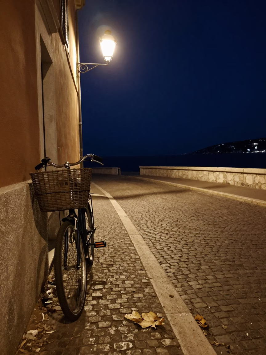 Vintage Night Scene in Nice France with Bicycle Basket and Fallen Petals in in Nice, France