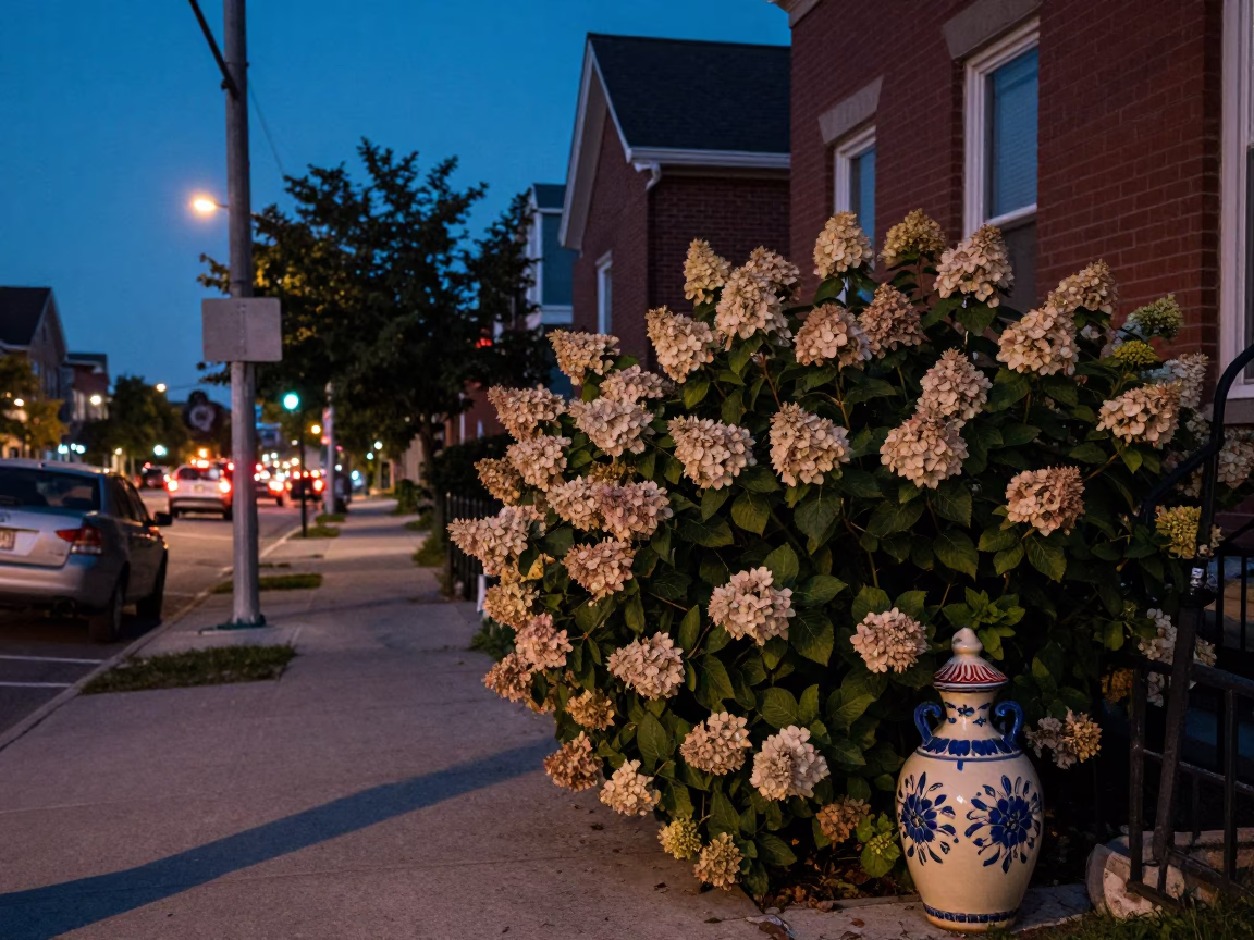 Vintage Toronto Street Scene Blue Hour with Hydrangea Bush and Ceramic Plate in in Toronto, Ontario, Canada