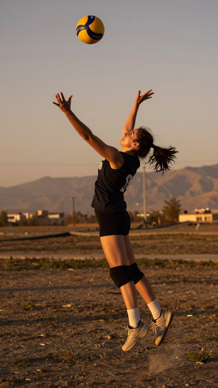Setter Floating Ball Before Dusk in near open fields near Tehran