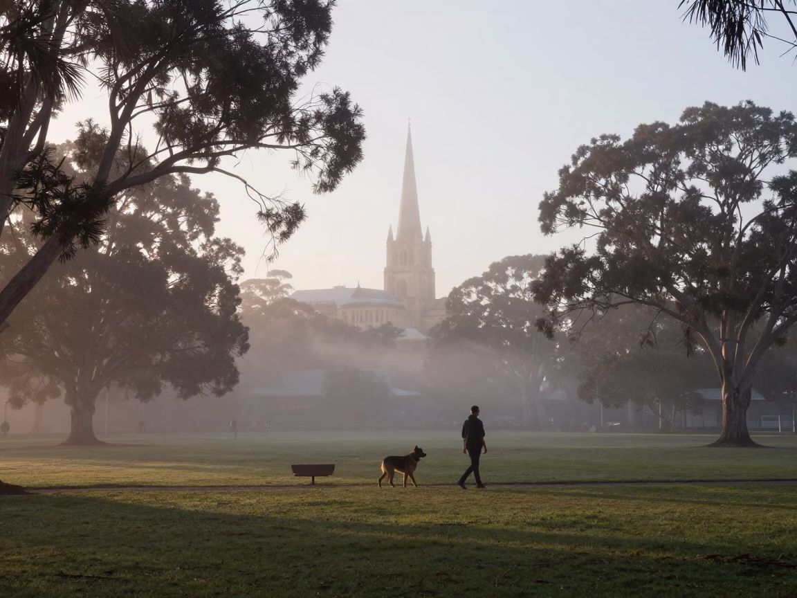 Walking Beauceron in Adelaide in in Adelaide, South Australia, Australia