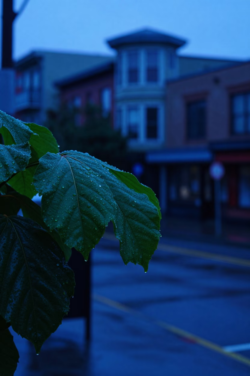 Water Droplets at The Last Blue Light Of Evening in Seattle in in Seattle, Washington, United States