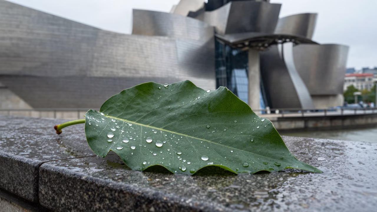 Water Droplets in Bilbao in in Bilbao, Spain
