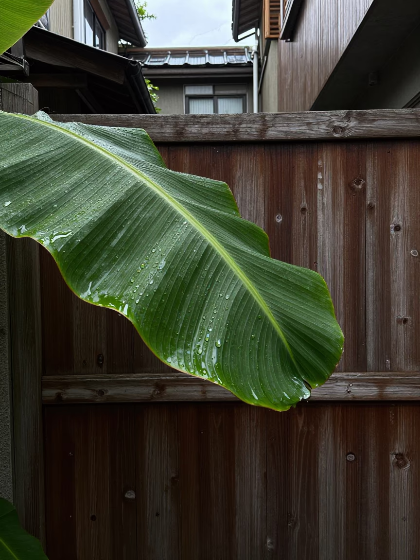 Water Droplets in Taipei in in Taipei, Taiwan
