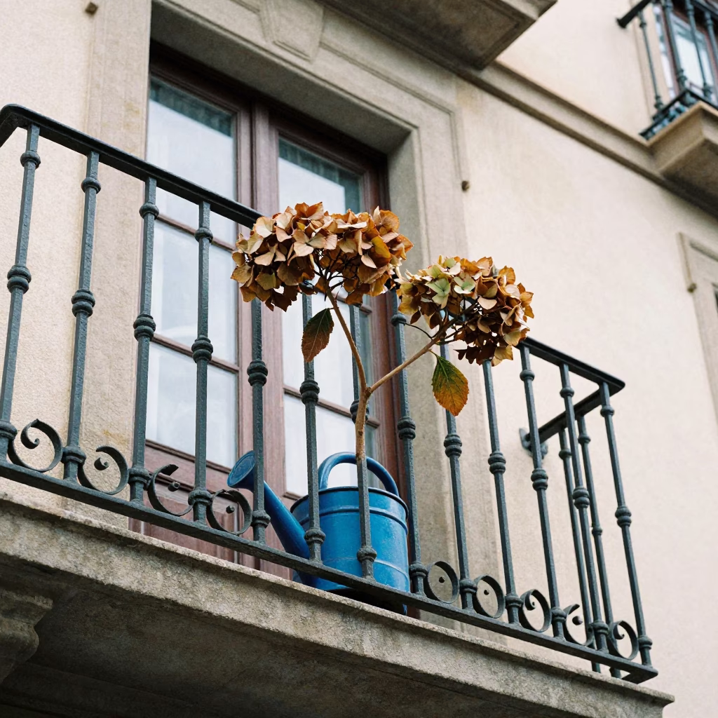 Watering Jug in Barcelona in in Barcelona, Spain