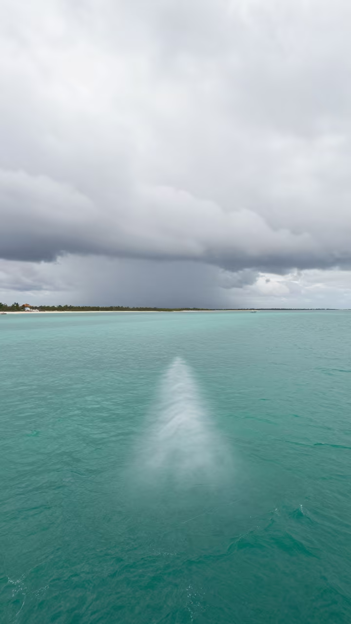 Waterspout Over Turquoise Sea Near Venice in over a horizon of stacked thunderheads near Venice