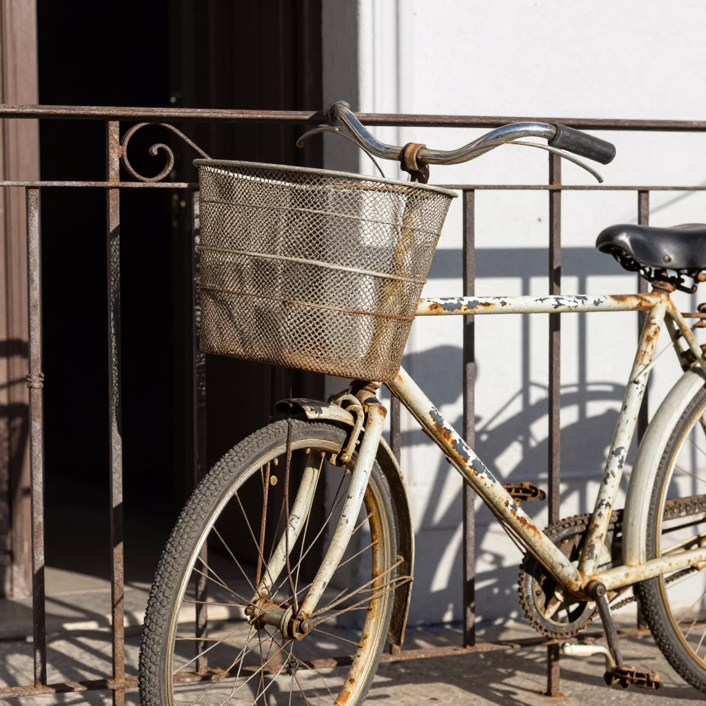 Weathered Bicycle Basket in Buenos Aires in in Buenos Aires, Argentina