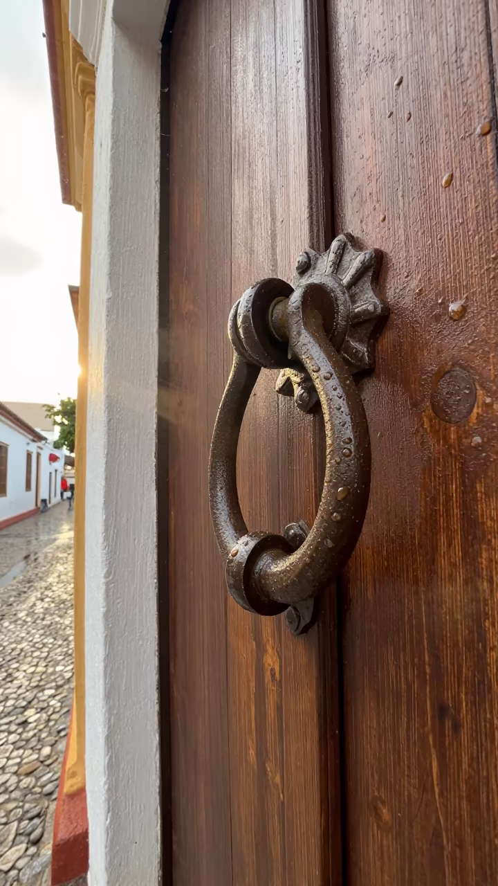 Weathered Iron Door Knocker on Old Oak in near Cartagena