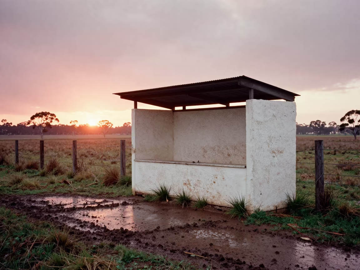 Weathered Salt Block in Victorian Paddock in along a muddy paddock fence in Victoria