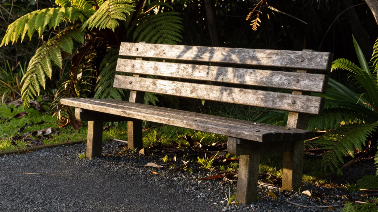 Weathered Wooden Park Bench in Auckland in in Auckland, New Zealand