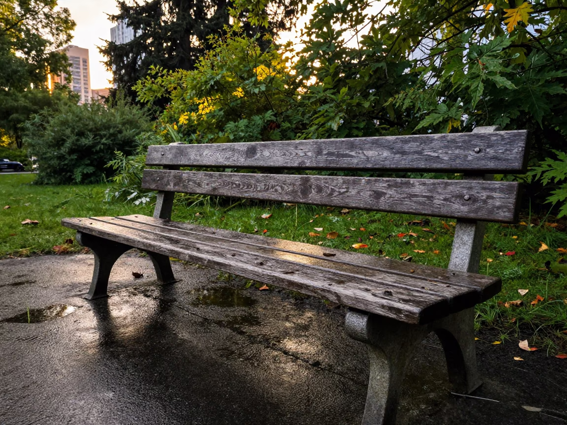 Weathered Wooden Park Bench in Seattle in in Seattle, United States