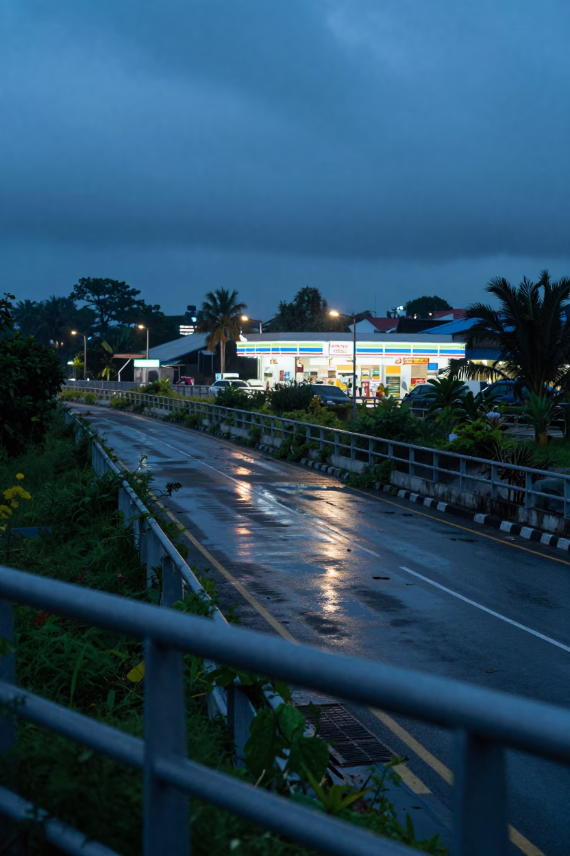 Weeds on Abandoned Overpass Near Lombok Store in outside a fluorescent convenience store in Lombok
