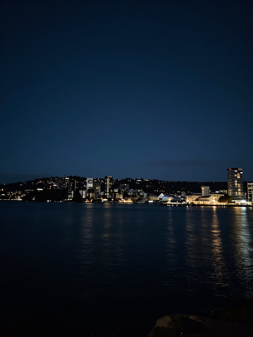 Wellington Harbour View at Deep In The Night Light in in Wellington, New Zealand