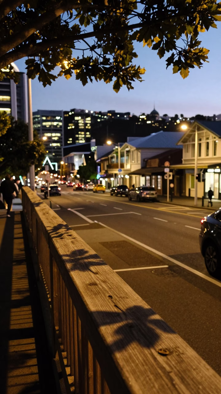 Wellington New Zealand Evening Street Scene with Leaf Shadows and City Lights in in Wellington, New Zealand