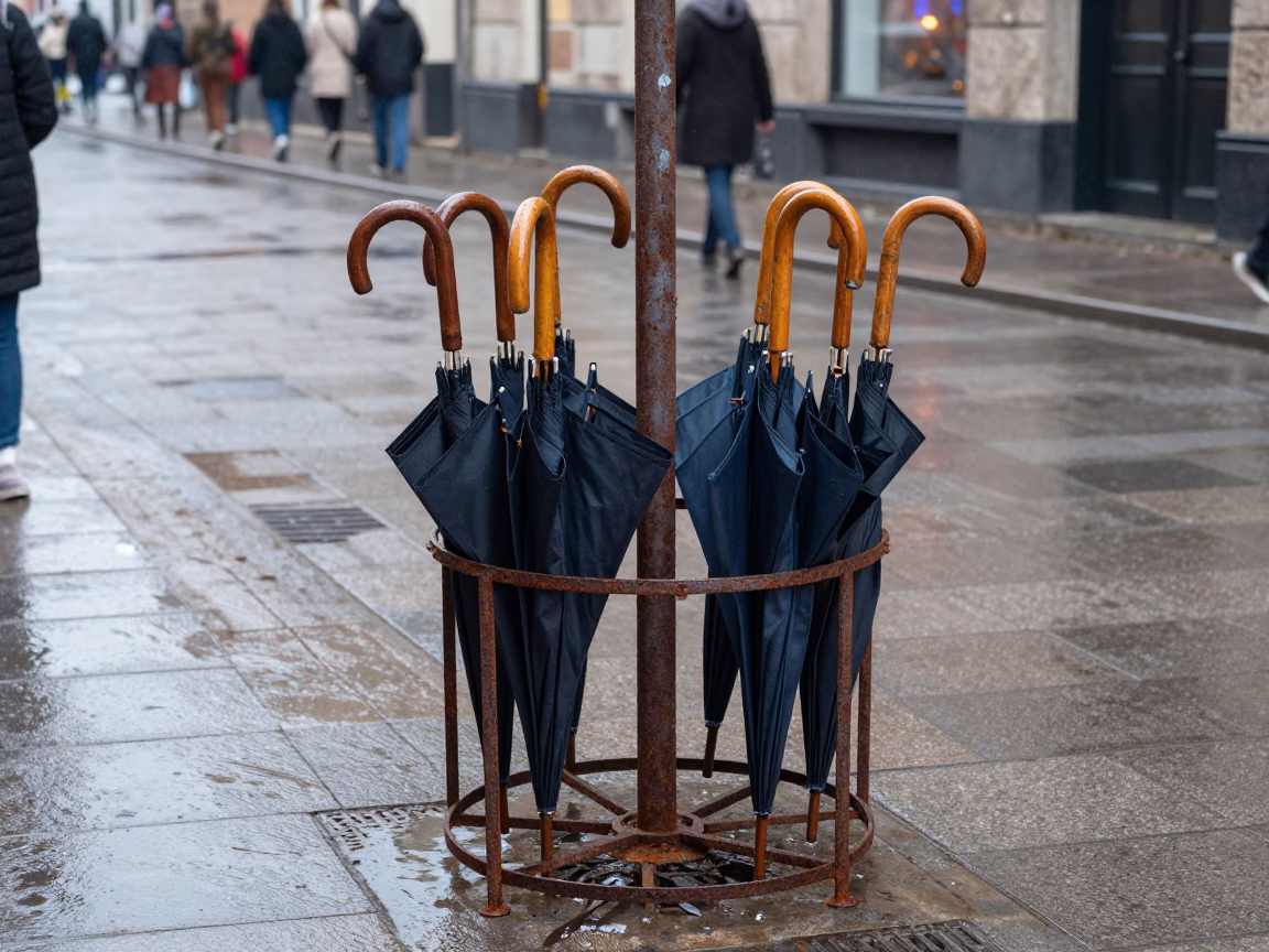 Wet Umbrellas in Copenhagen in in Copenhagen, Denmark