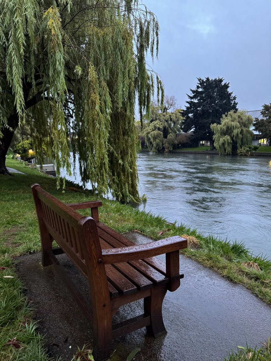 Wet Wooden Garden Bench in Christchurch in in Christchurch, New Zealand