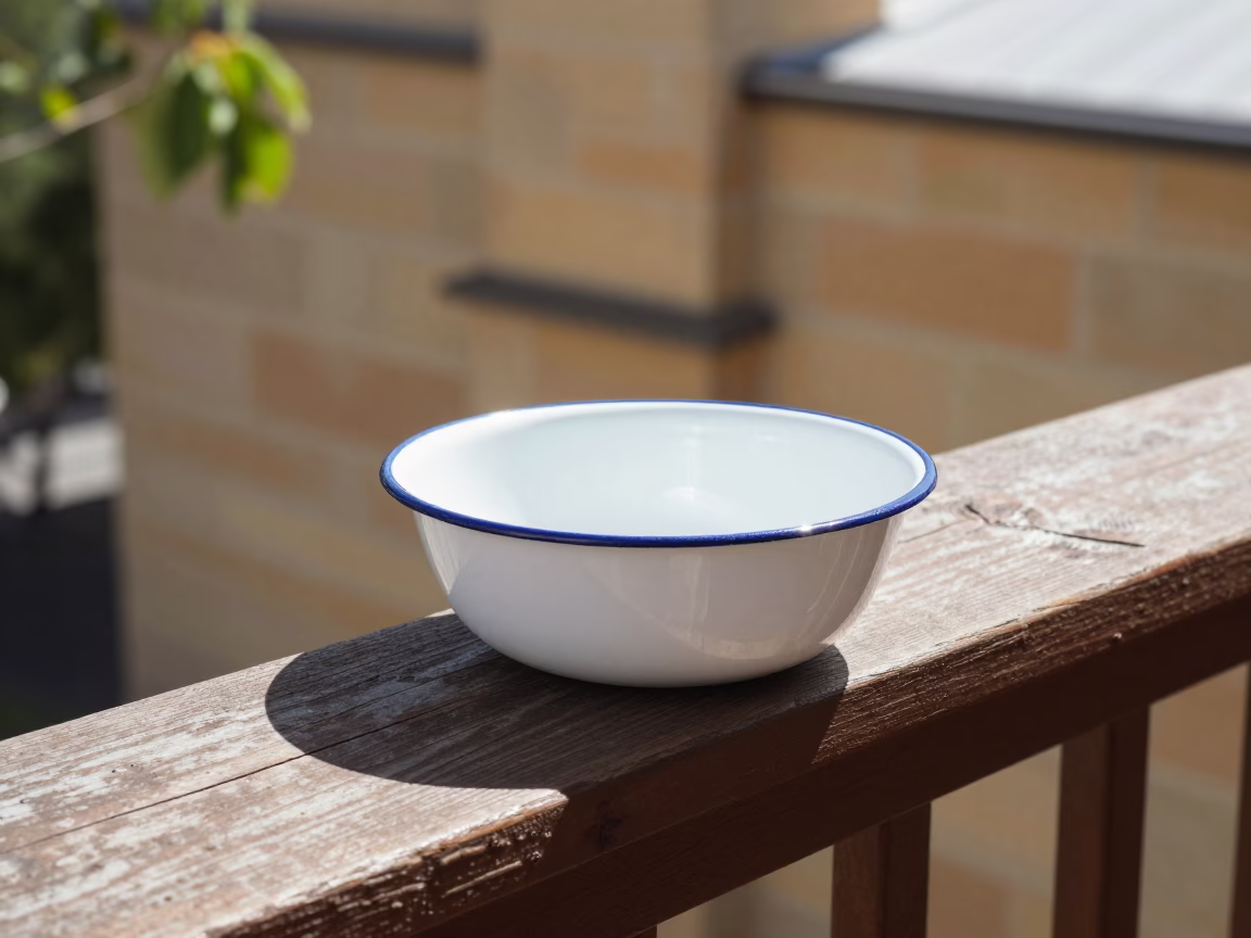 White Enamel Bowl in Adelaide in in Adelaide, Australia