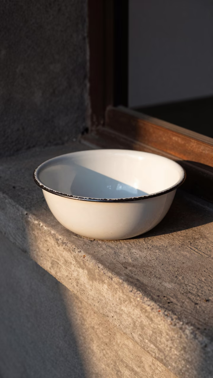 White Enamel Bowl in Guadalajara in in Guadalajara, Mexico