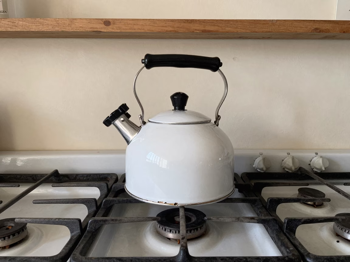 White Enamel Stovetop Kettle in New Orleans in in New Orleans, United States