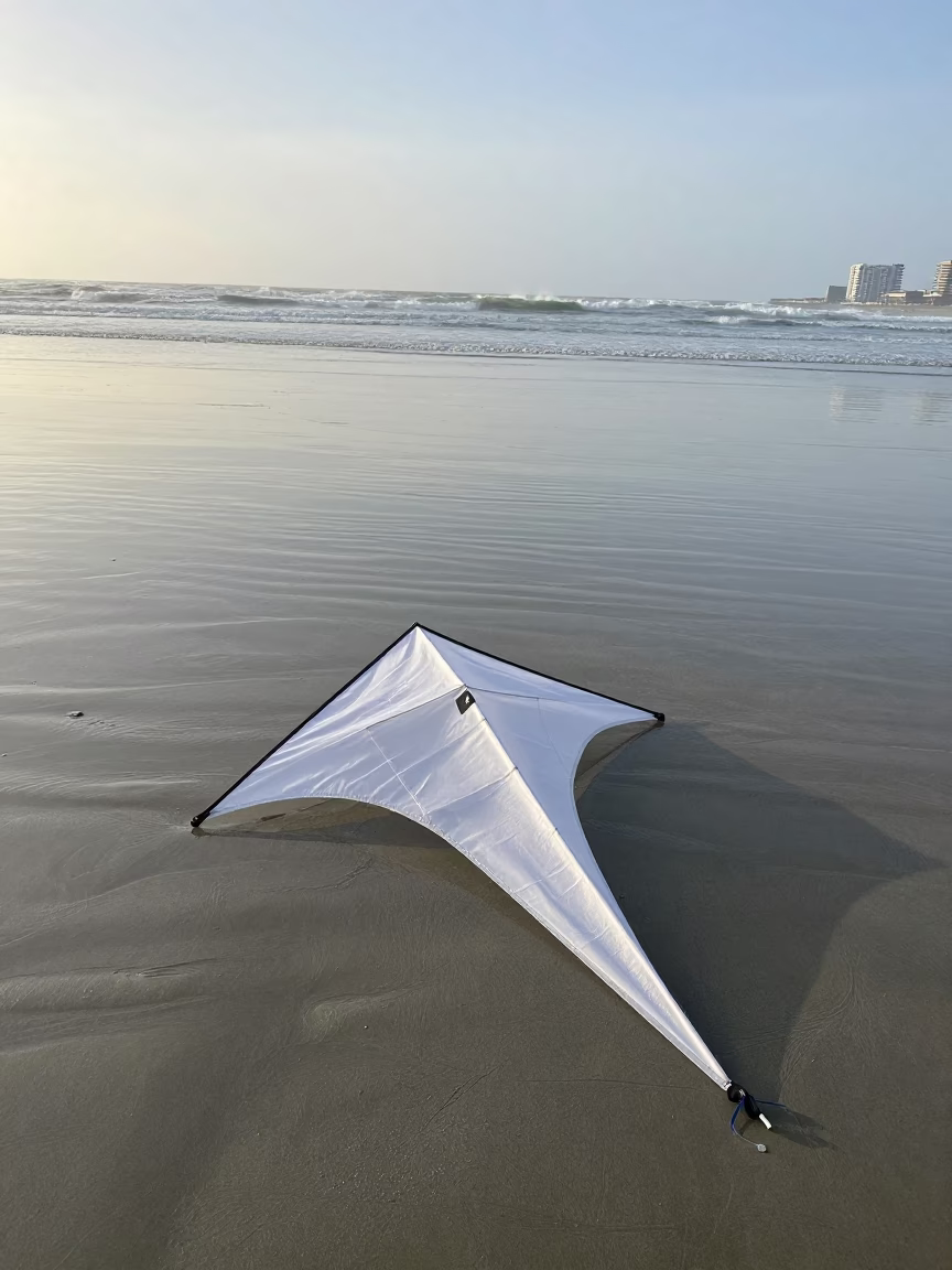 White Kite in San Diego in in San Diego, United States