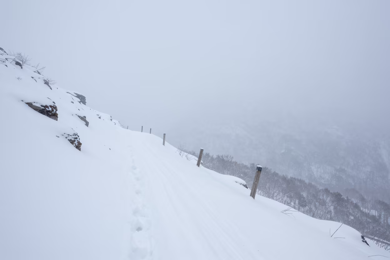 Whiteout Blizzard on Hokkaido Mountain Trail in through low marine fog in Hokkaido