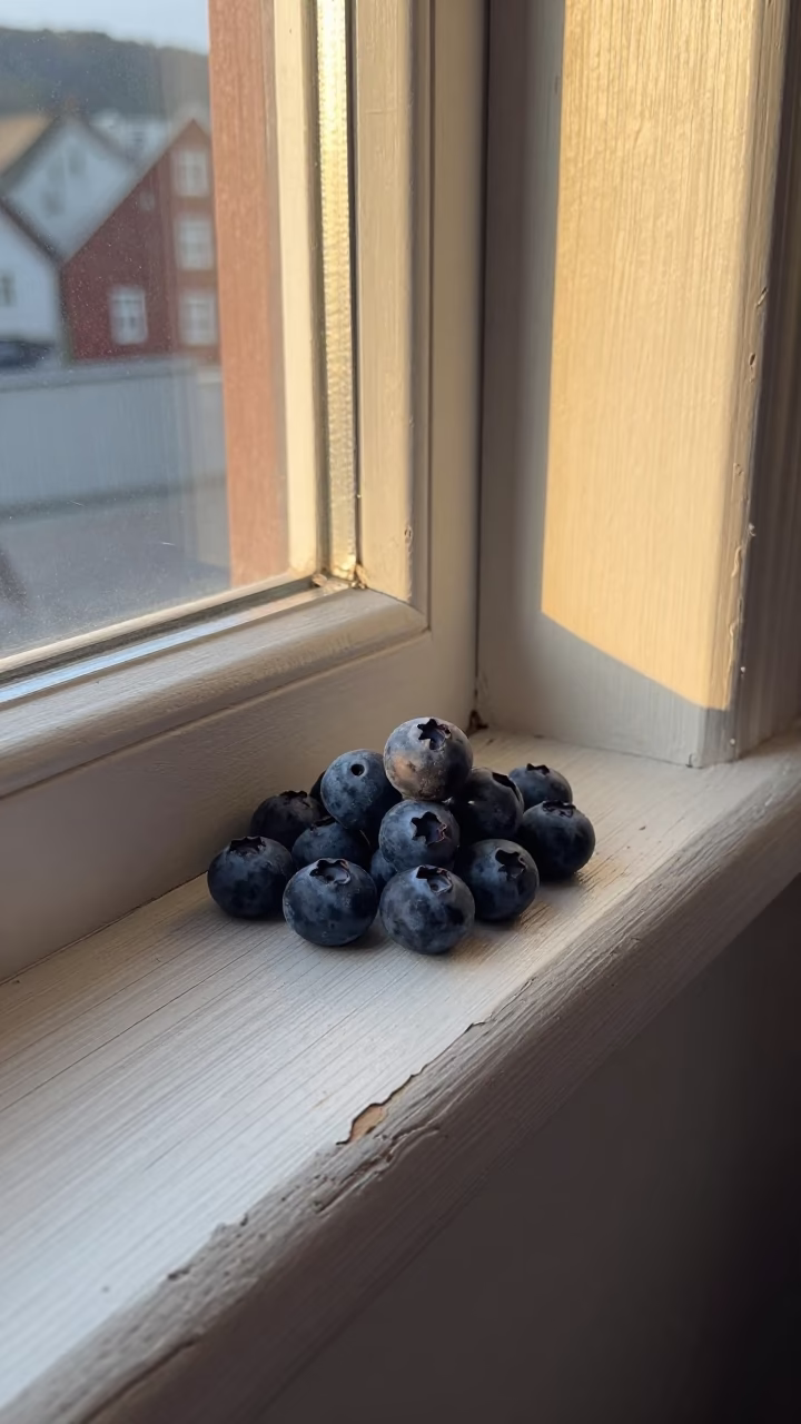 Wild Blueberries in Bergen in in Bergen, Norway