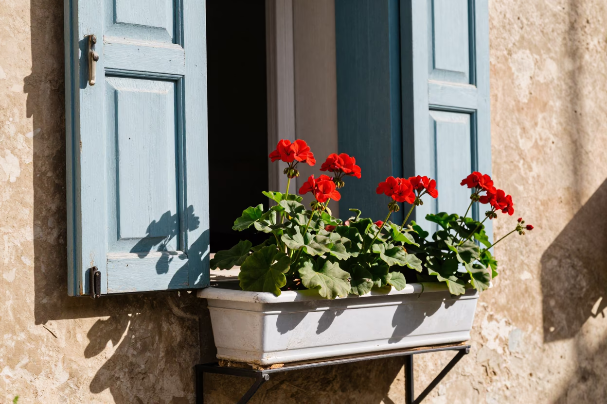 Window Box in Alexandria at Bright Midmorning Light in in Alexandria, Egypt