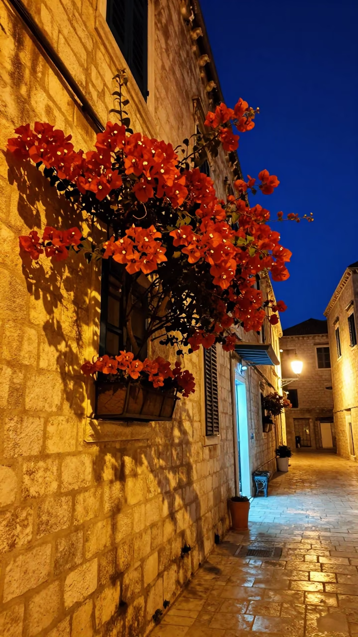 Window Box in Dubrovnik in in Dubrovnik, Croatia