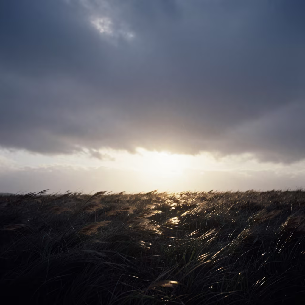 Windswept Hokkaido Prairie Under Storm Clouds in across a storm-bright plain in Hokkaido