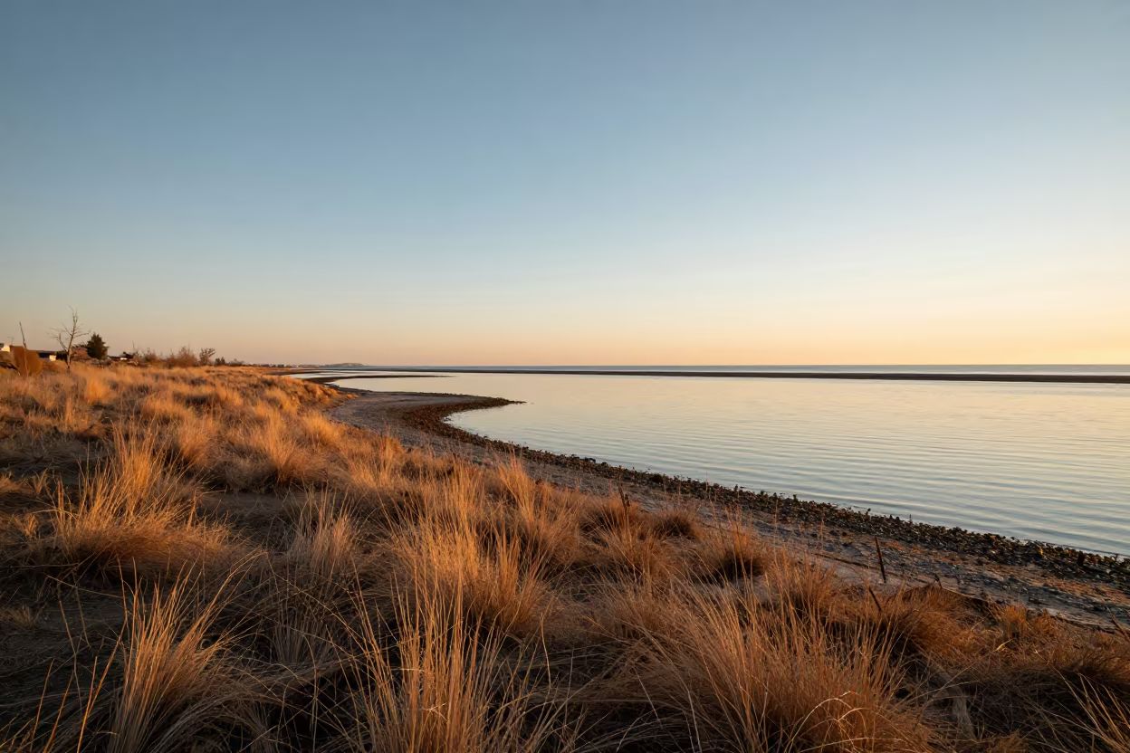 Winter Alpine Meadow Tidal Shores Sunset in along a wave-cut shoreline near Zona Sur, La Paz