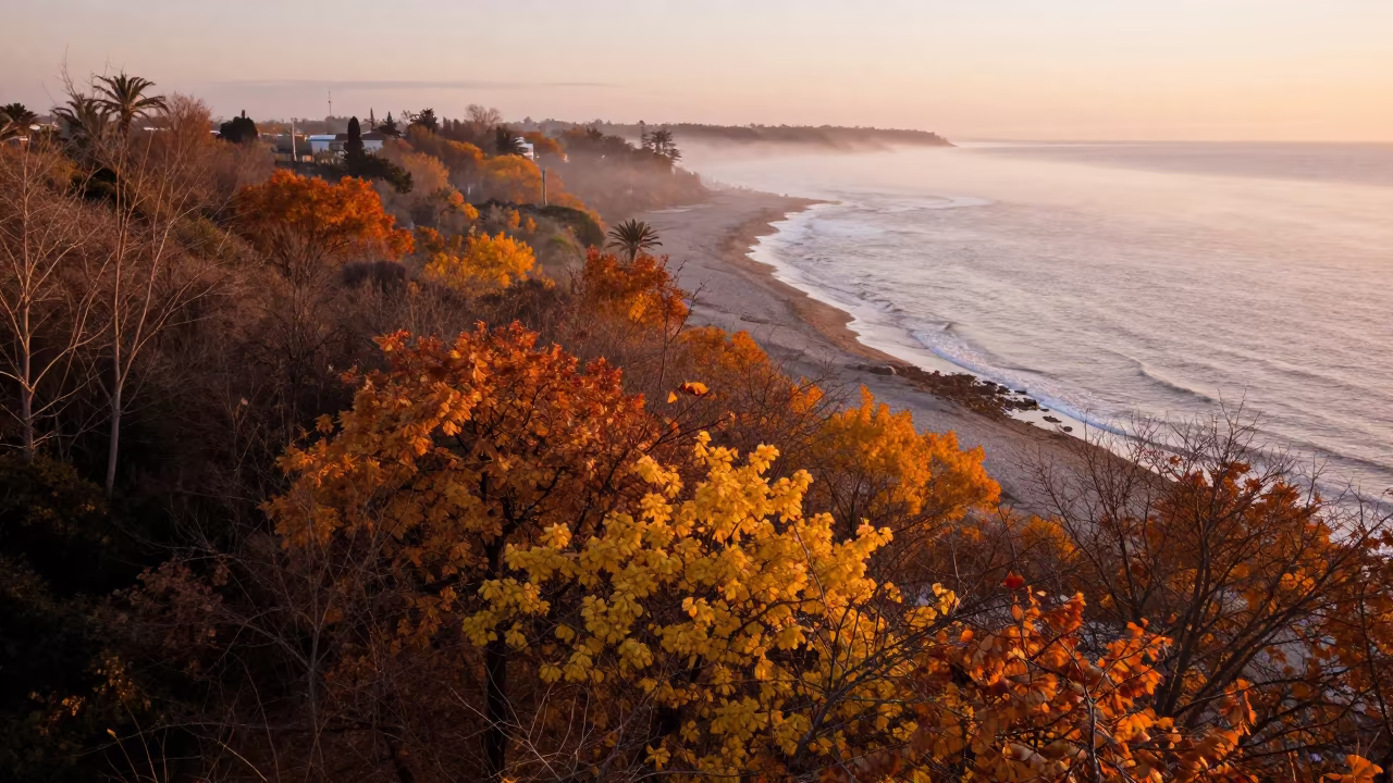 Winter Autumn Canopy Shoreline Sfax in along a wave-cut shoreline near Sfax