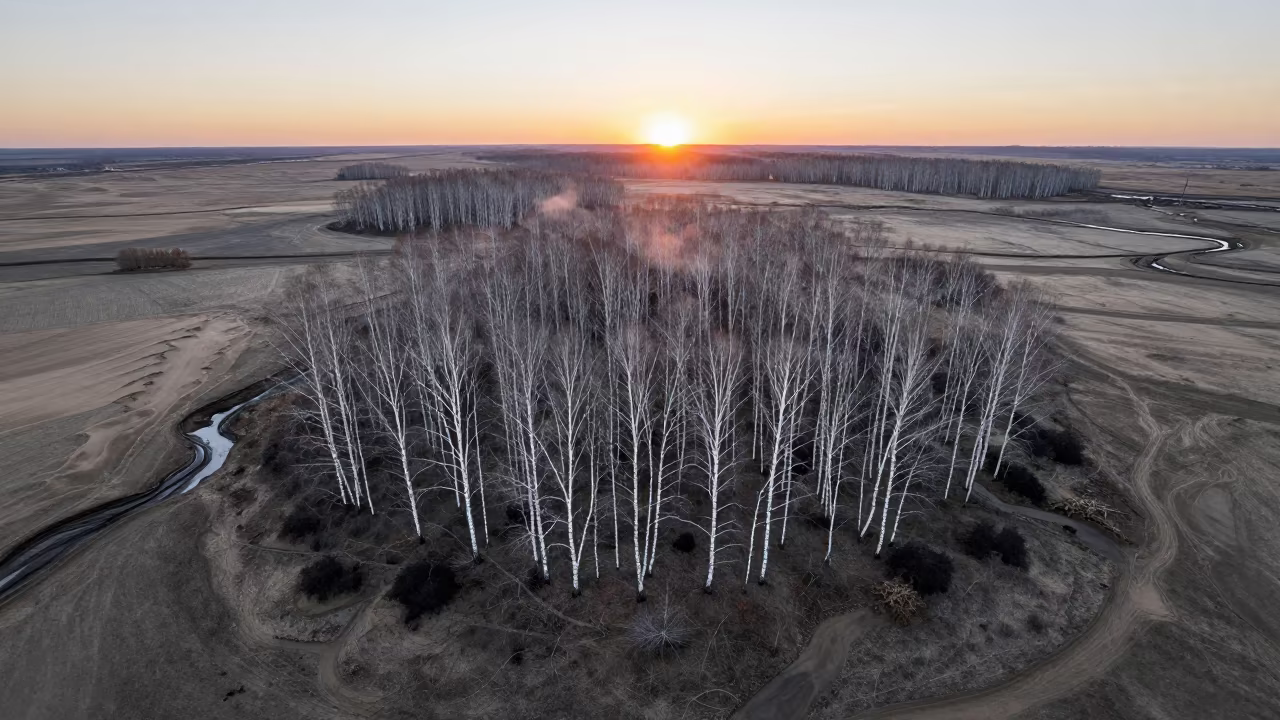 Winter Birch Forest Aerial View Over Gabela Dunes in above dune fields and dry wadis near Gabela
