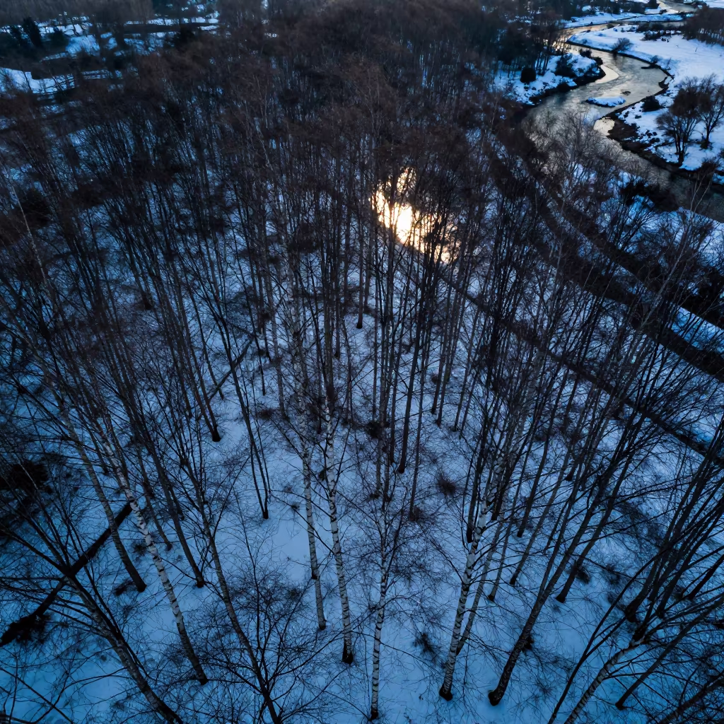 Winter Birch Forest Drone View Karachi in far above river meanders near Karachi