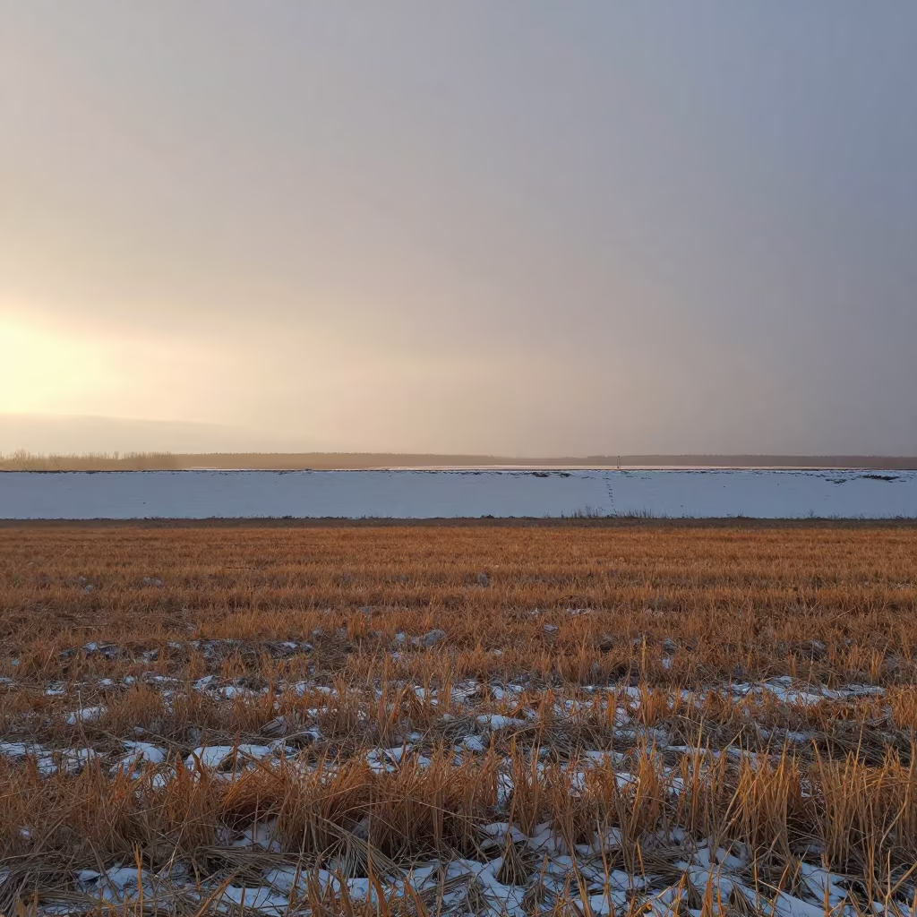 Winter Blizzard Curtain Over Russian Wheat Plain in across a storm-bright plain in Russia